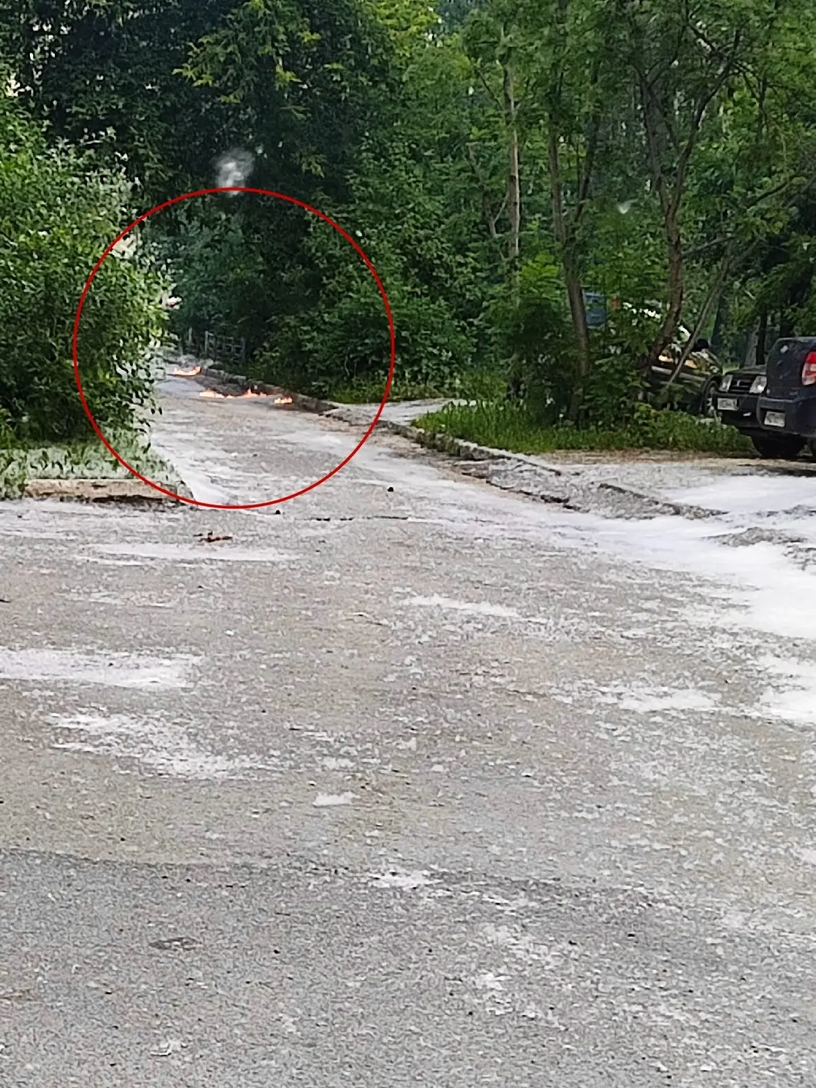 ⚠️ Внимание, Декабристов, 4! Из-за поджога огонь движется к автомобилям

По сообщениям очевидцев, му