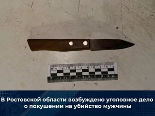 В хуторе Быстрянском Орловского района произошло покушение на убийство