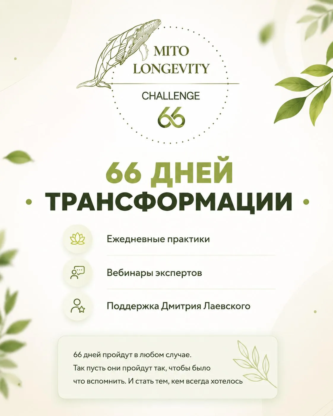 🌿 66-дневный челлендж здоровых привычек
15 июля стартует масштабный проект, в котором одновременно 