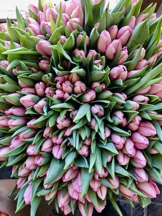 С первым праздником весны, милая🌷с новым расцветом природы, с торжеством женственности...