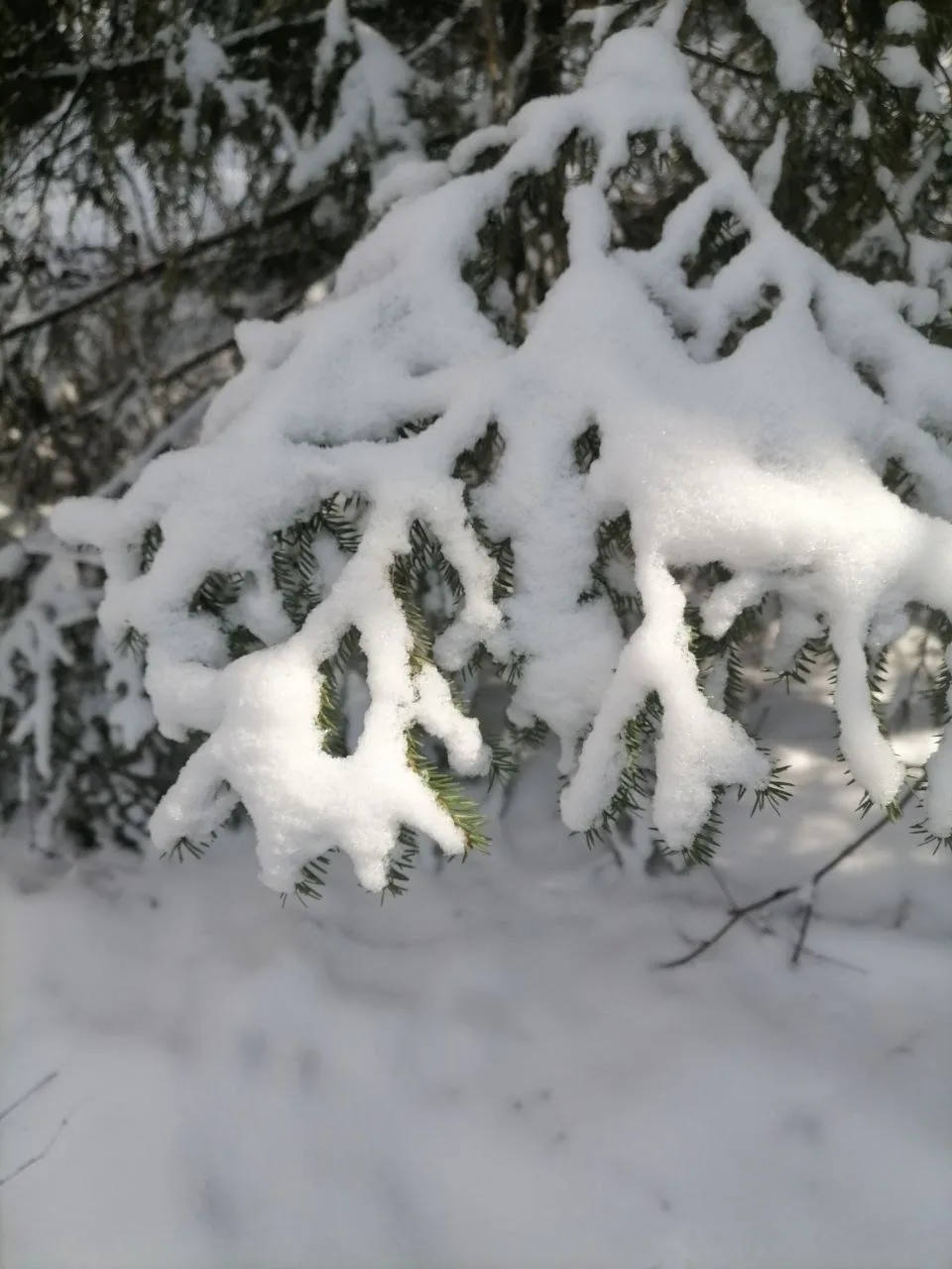 Бүгенге матурлык ❤️❄️