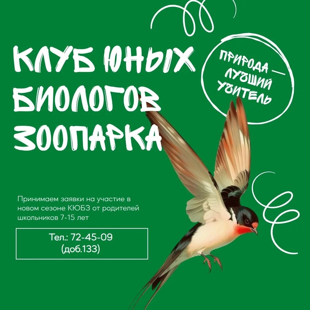 В зоопарк – не на экскурсию, а на целый учебный год 🐯