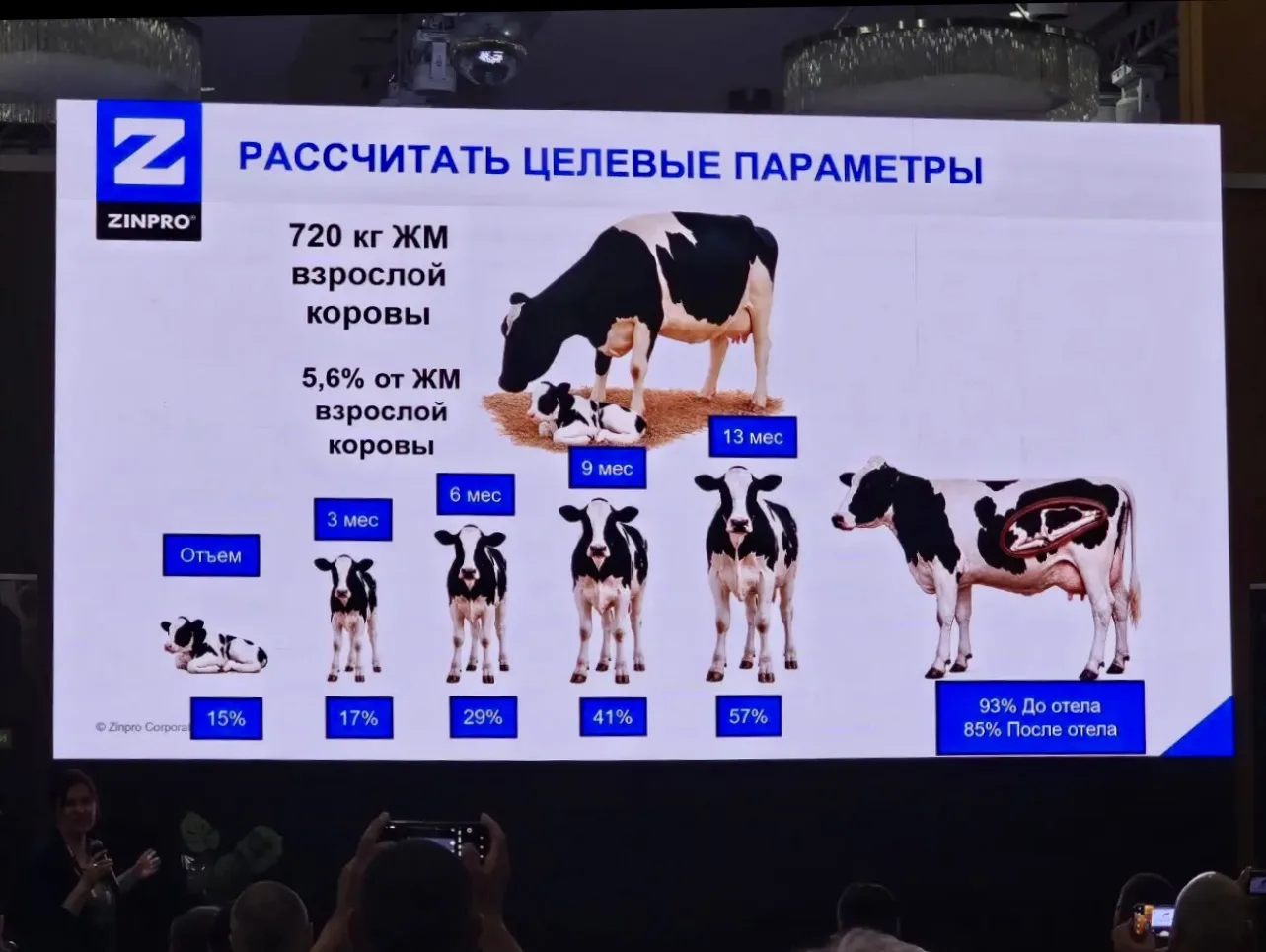 Коллеги, всем привет!  👋