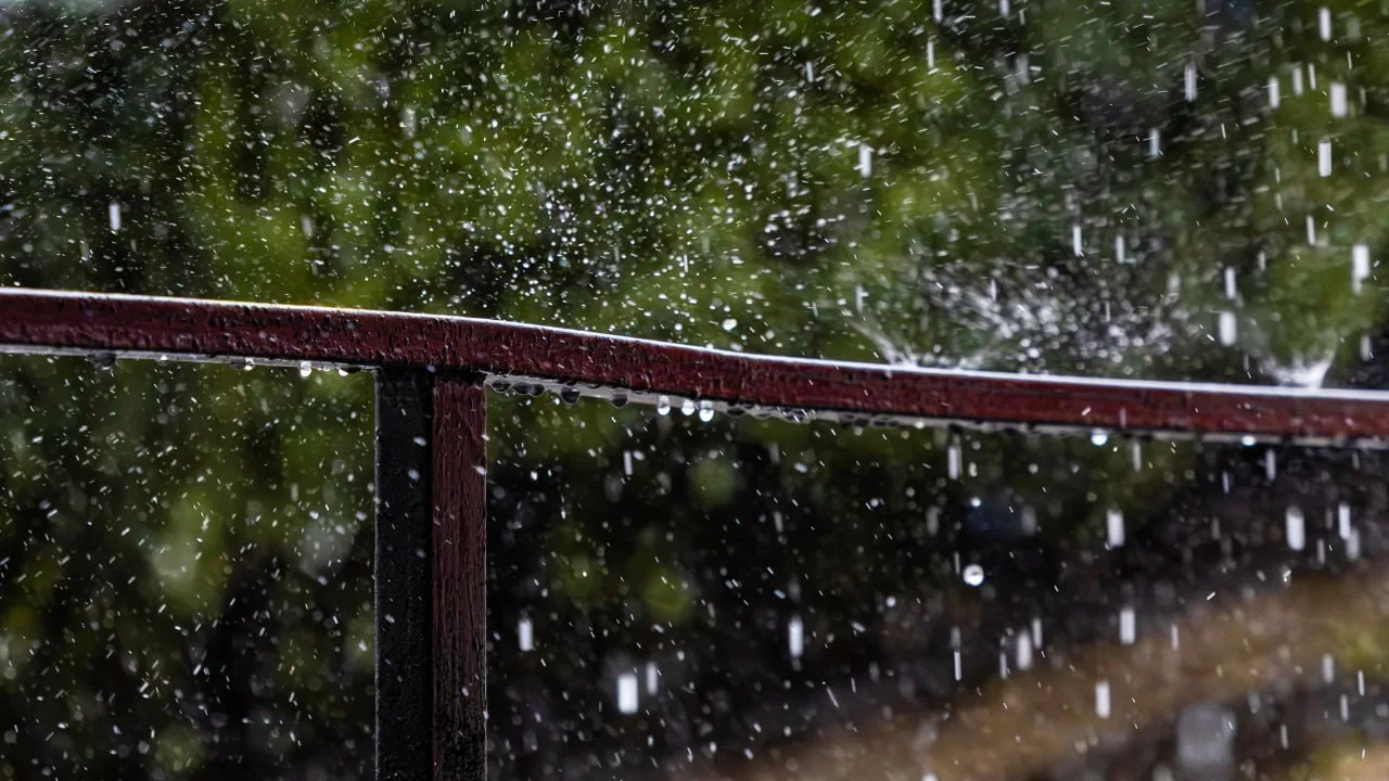 🌦 На Ямал идут дожди