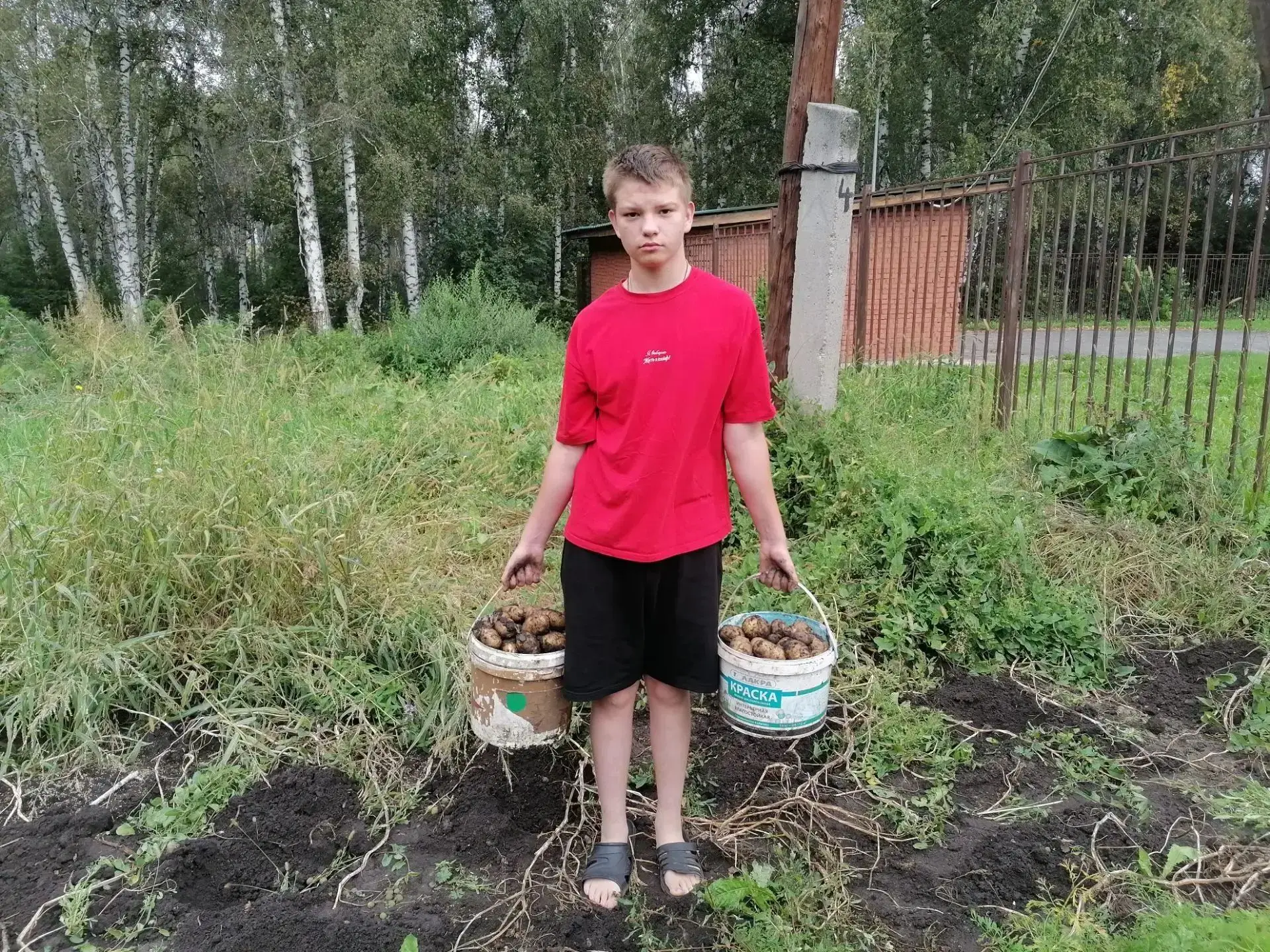 Воспитанники под руководством инструктора по труду Филюк Т.И. приняли участие в сборе в...