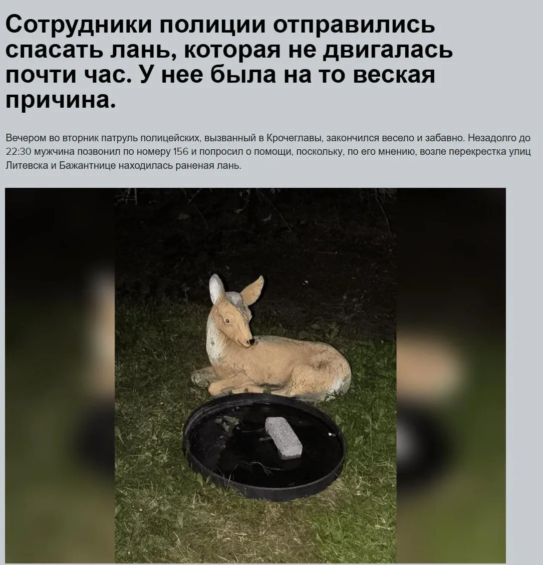 В Чехии неравнодушный прохожий вызвал полицию и почти час охранял «тяжелораненую» лань....