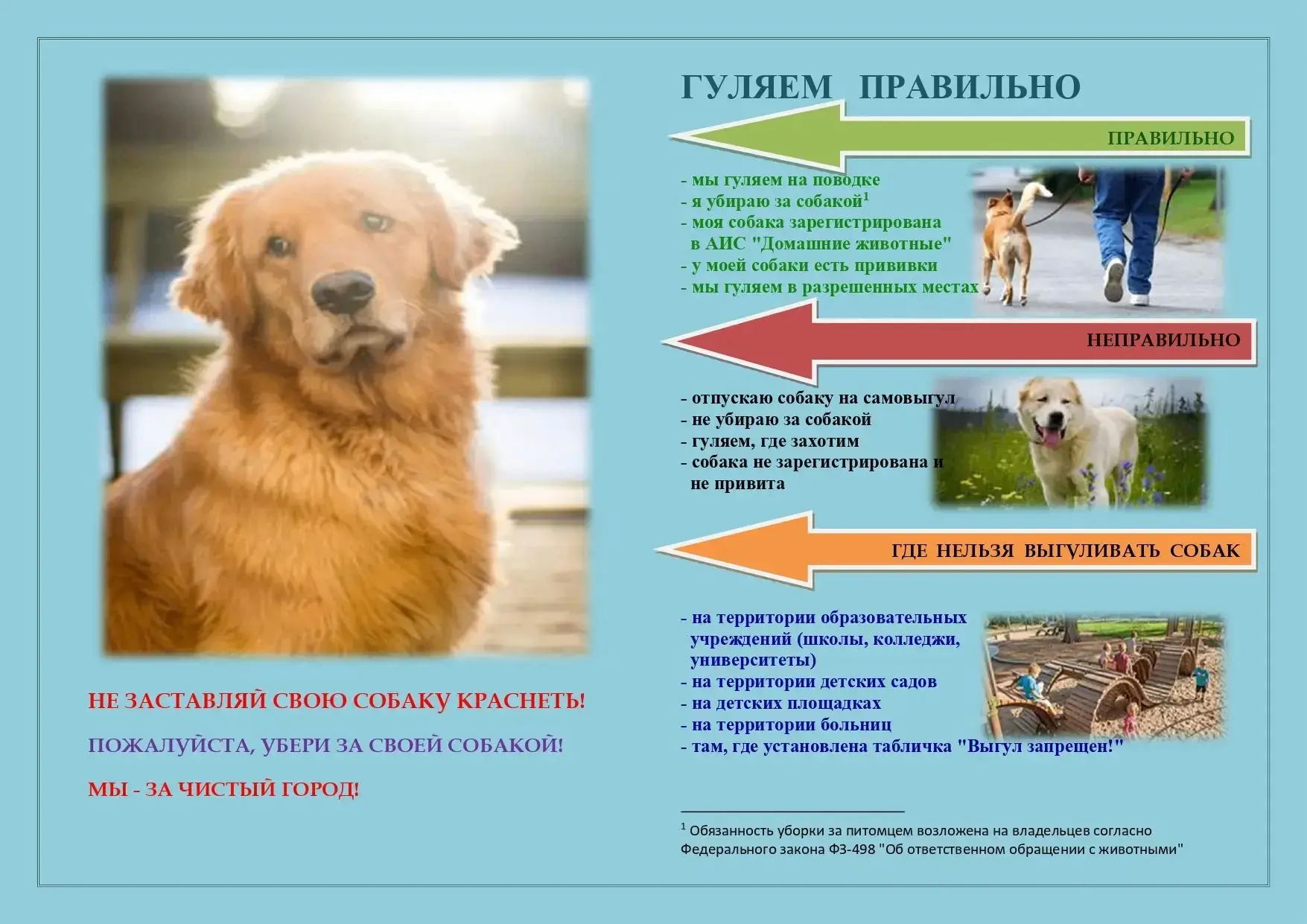‼️Памятка о правилах выгула домашних животных и правила поведения при встрече с животны...