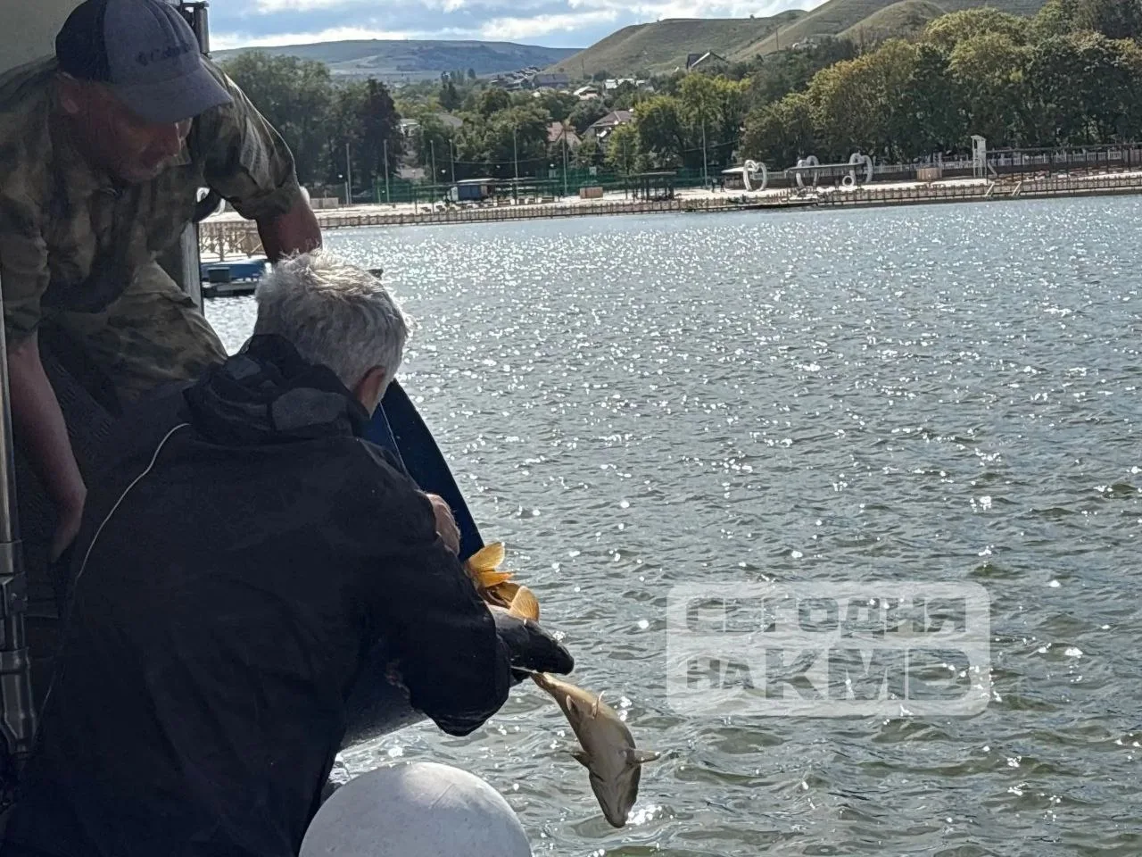 🐟 В преддверии Дня города в Старое Озеро в Кисловодске выпустили полторы тонны карпа