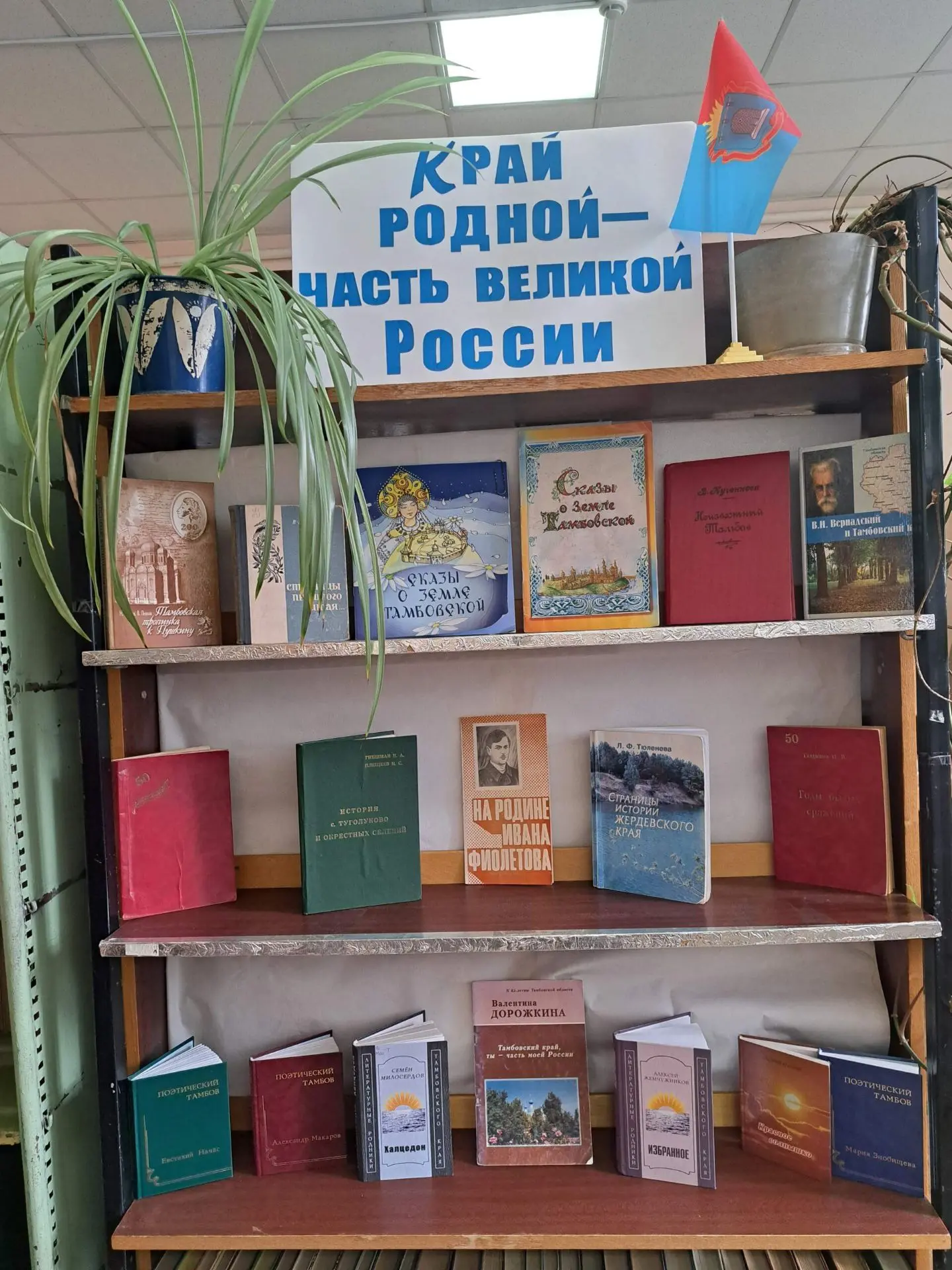 📚В Туголуковской библиотеке оформлена книжная выставка "Край родной - часть великой Ро...