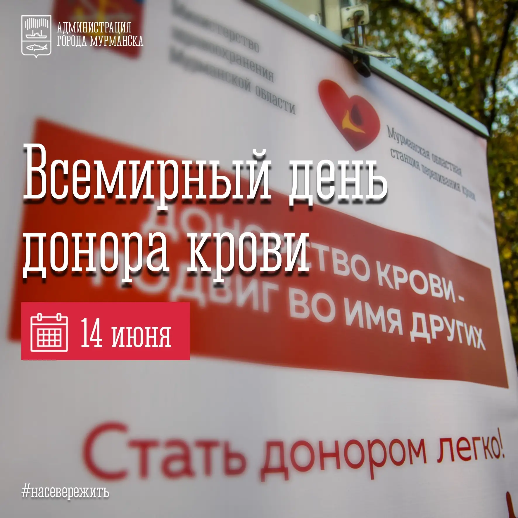 🎉 Сегодня с Всемирным днем донора крови поздравляю мурманчан, которые регулярно и безв...