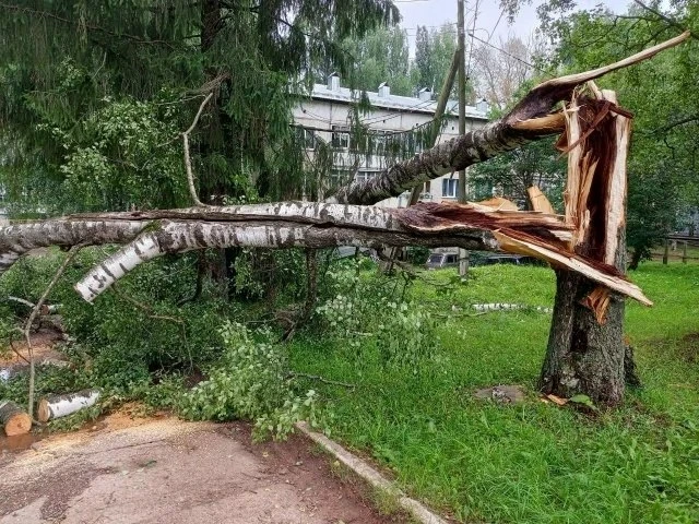 😱 Последствия шквала в Вожгалах 27 июля.