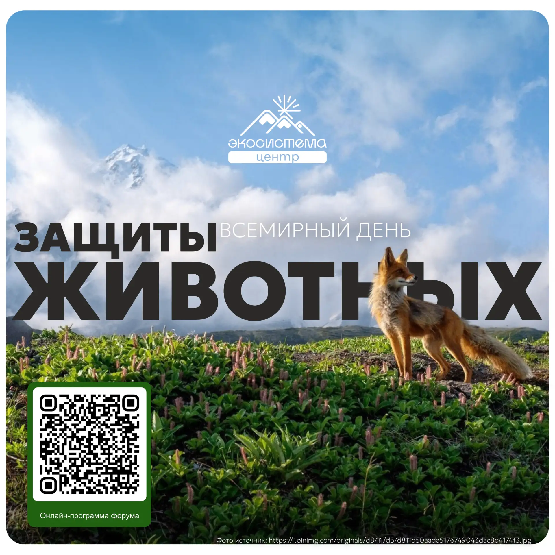 4 октября — Всемирный день защиты животных