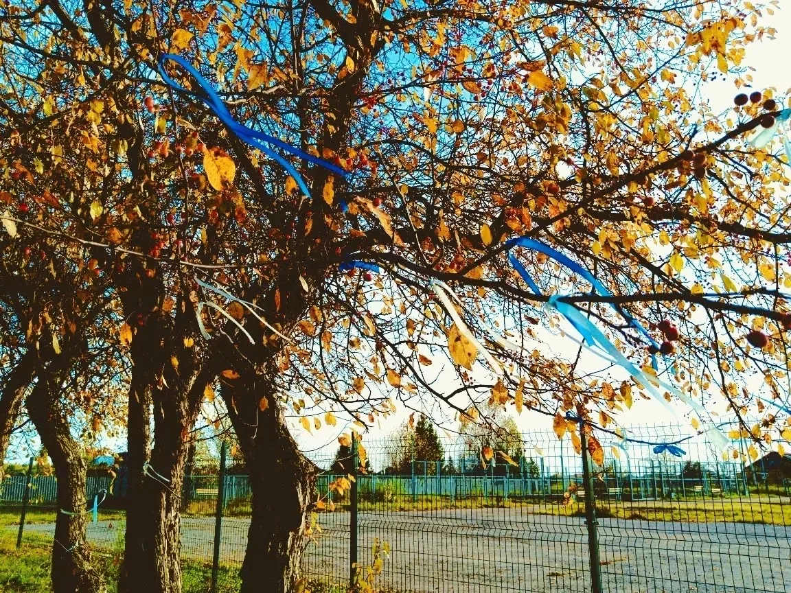 🍁  Осень в деталях — глазами юных журналистов. 📸