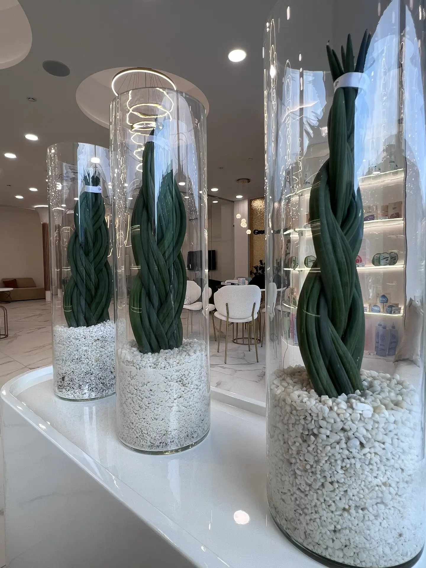 Невероятной красоты офис открыли в Новосибирске 😍