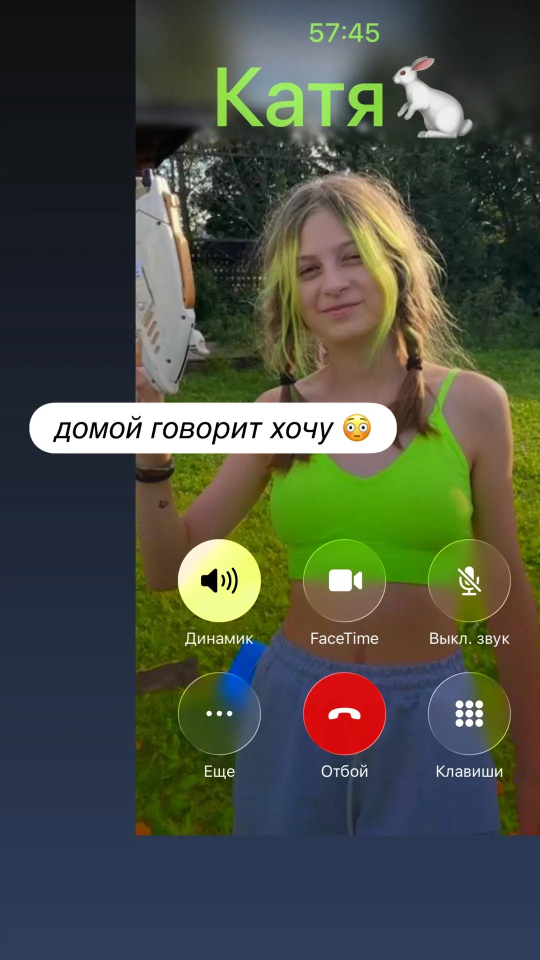 Детский сад адаптация