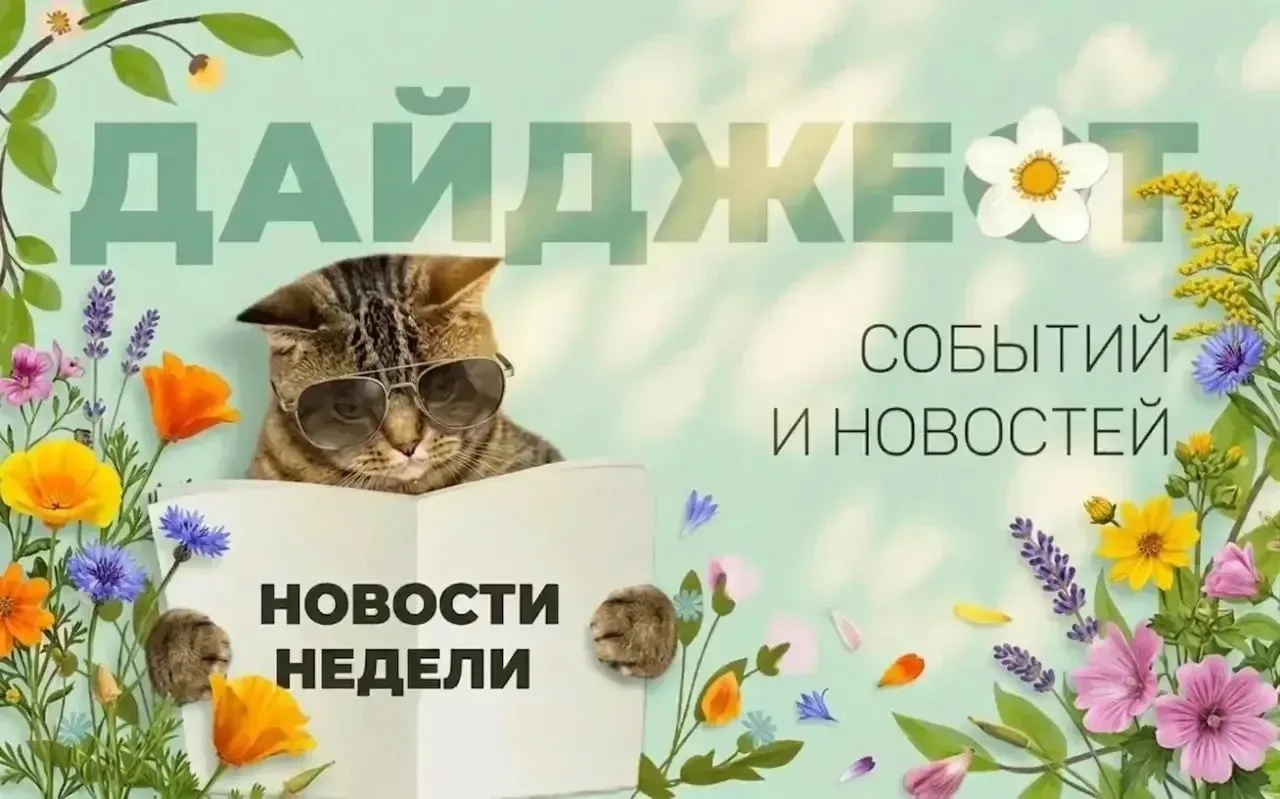 Приветствуем Вас, дорогие партнеры!
Предыдущая неделя была насыщенна на новости и поступления!) 
А п
