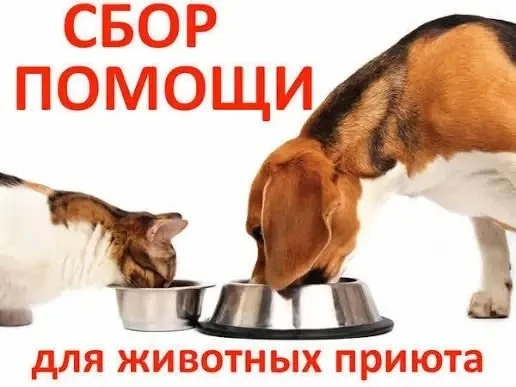 В рамках Всемирного дня защиты животных мы объявляем городскую благотворительную акцию ...