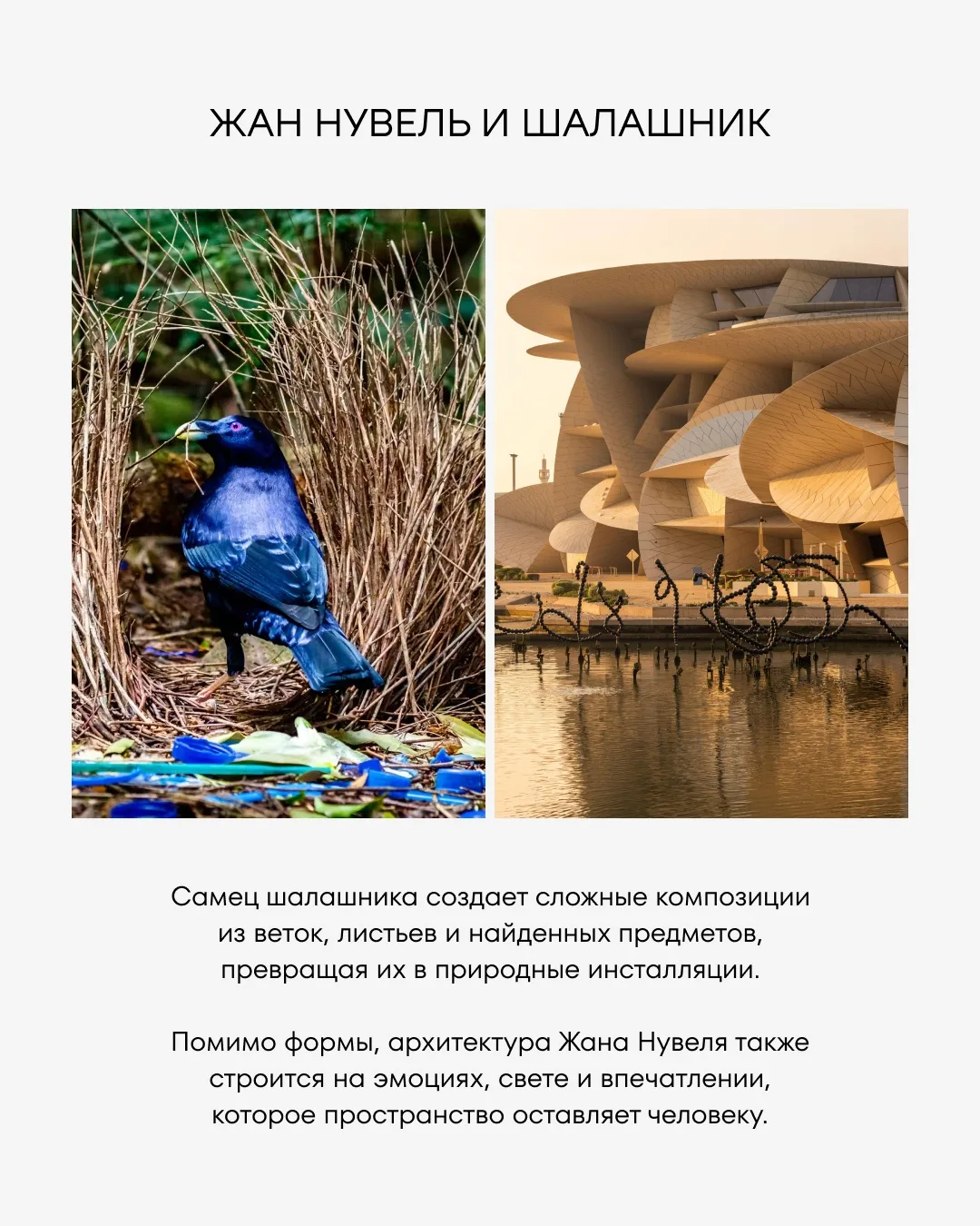 Бионика: когда природа становится главным архитектором

Мир восхищается смелыми идеями великих архит