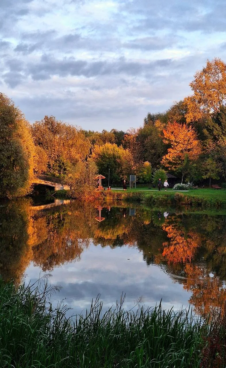 Осень на Городне 🍁