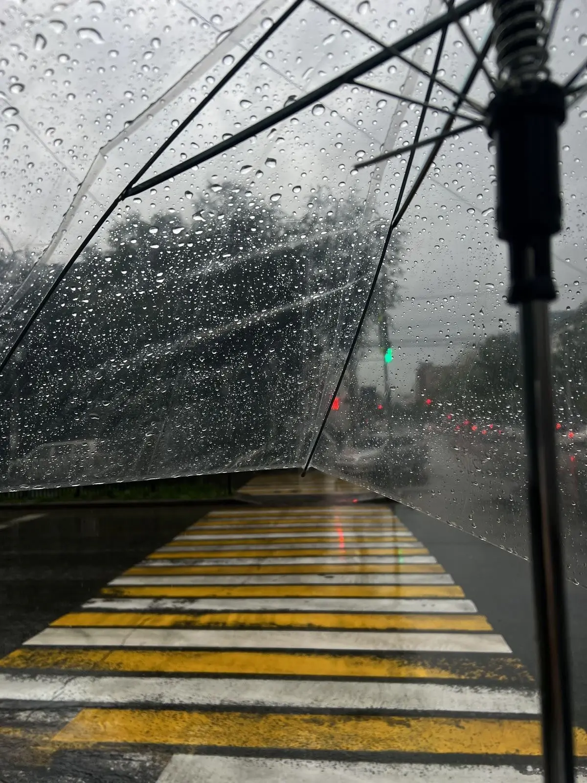 🌧️ Красноярцы, готовьте зонты и резиновые сапоги! В пятницу и субботу — ливни, ветер д...
