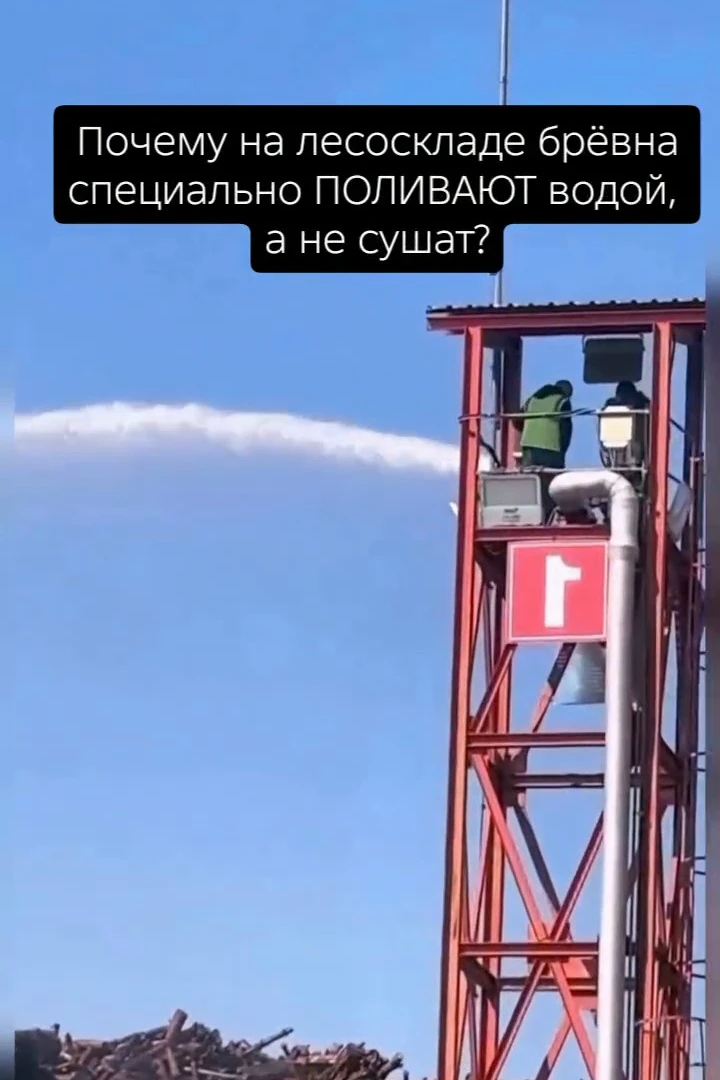 ⚙ Первый инстинкт при виде мокрых брёвен на складе — недоумение. Дерево и вода враги, д...
