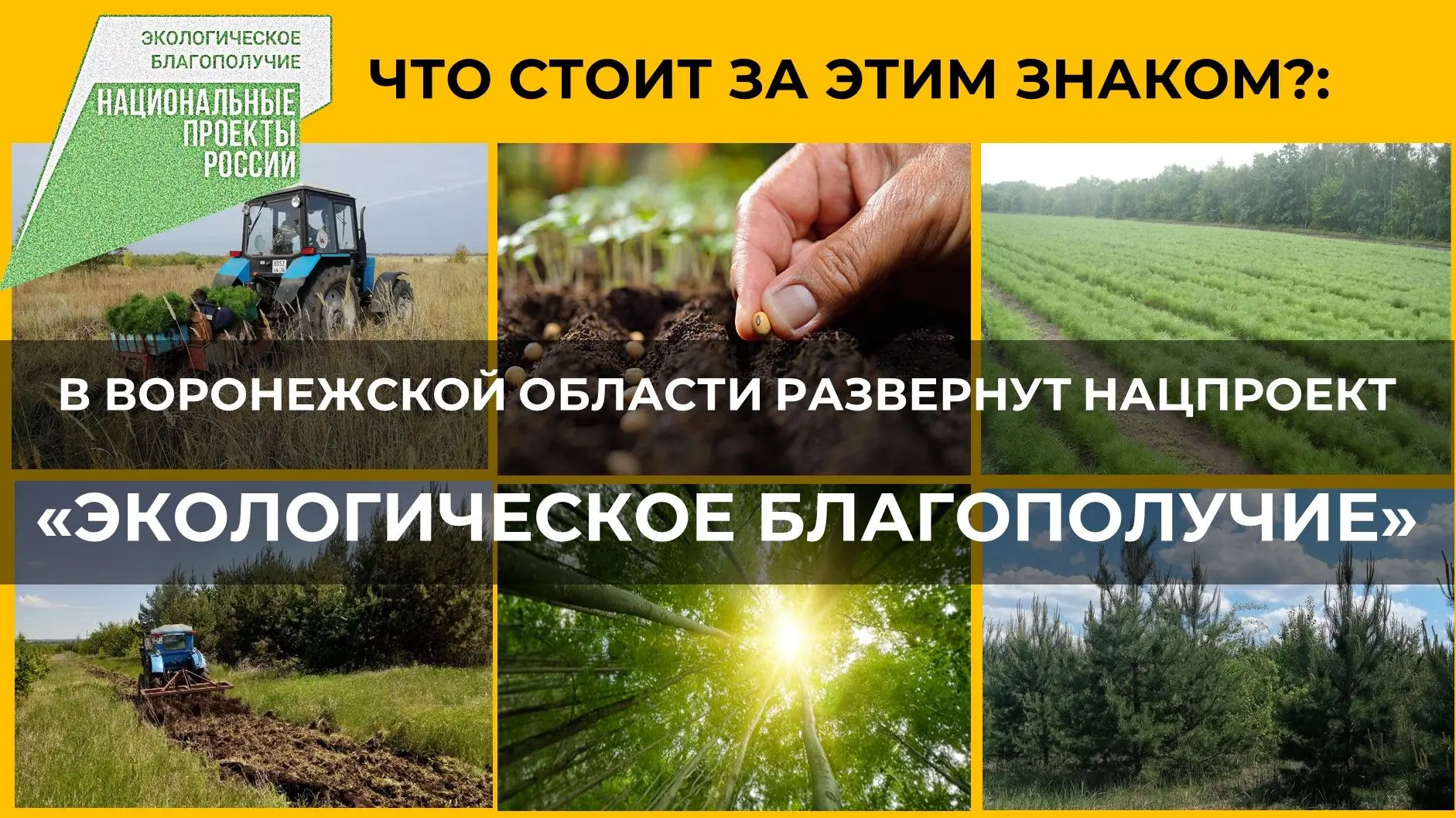За привычным логотипом «Национальные проекты России» скрывается масштабная программа, меняющая облик