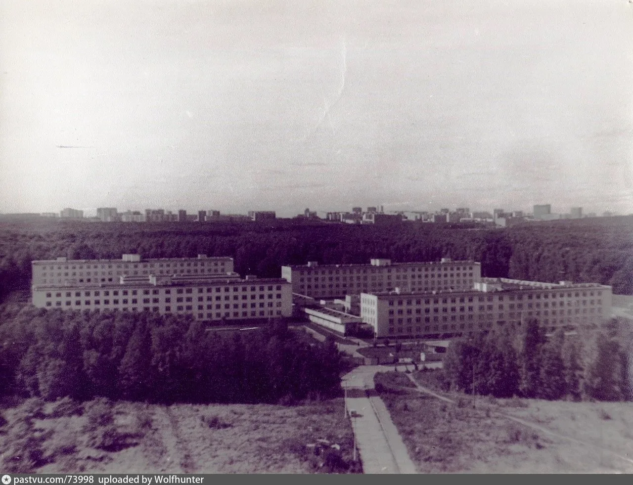 Битцевский лес