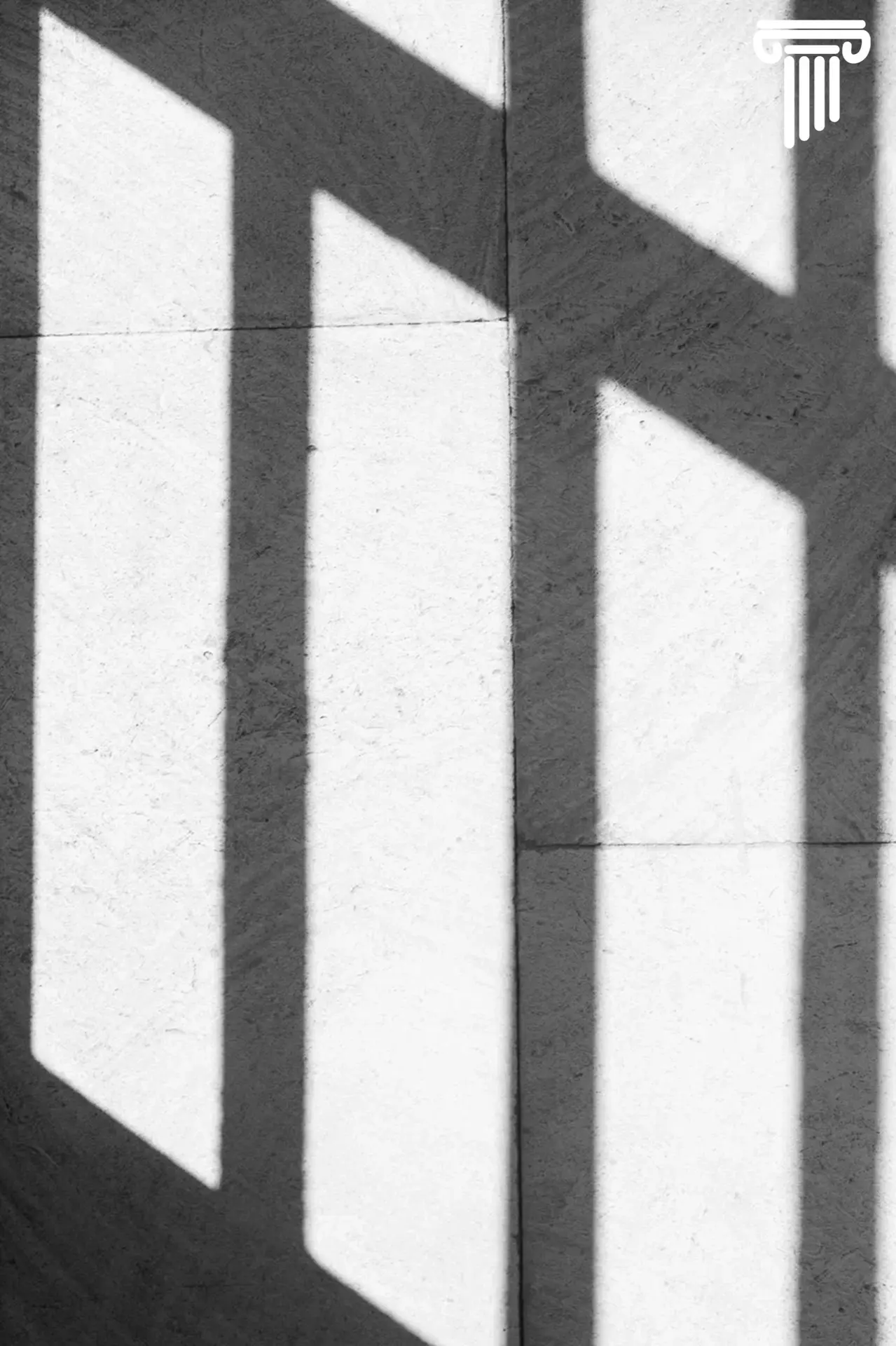 КРАСКИ ВЕСНЫ В ВОЛГУ | #глазами  Весна — это долгожданное тепло и радость, а ВолГУ — это родные кори
