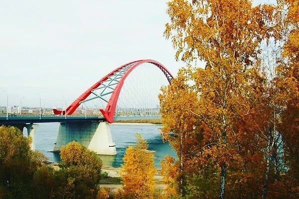 🍁 В Новосибирскую область ненадолго заглянет бабье лето