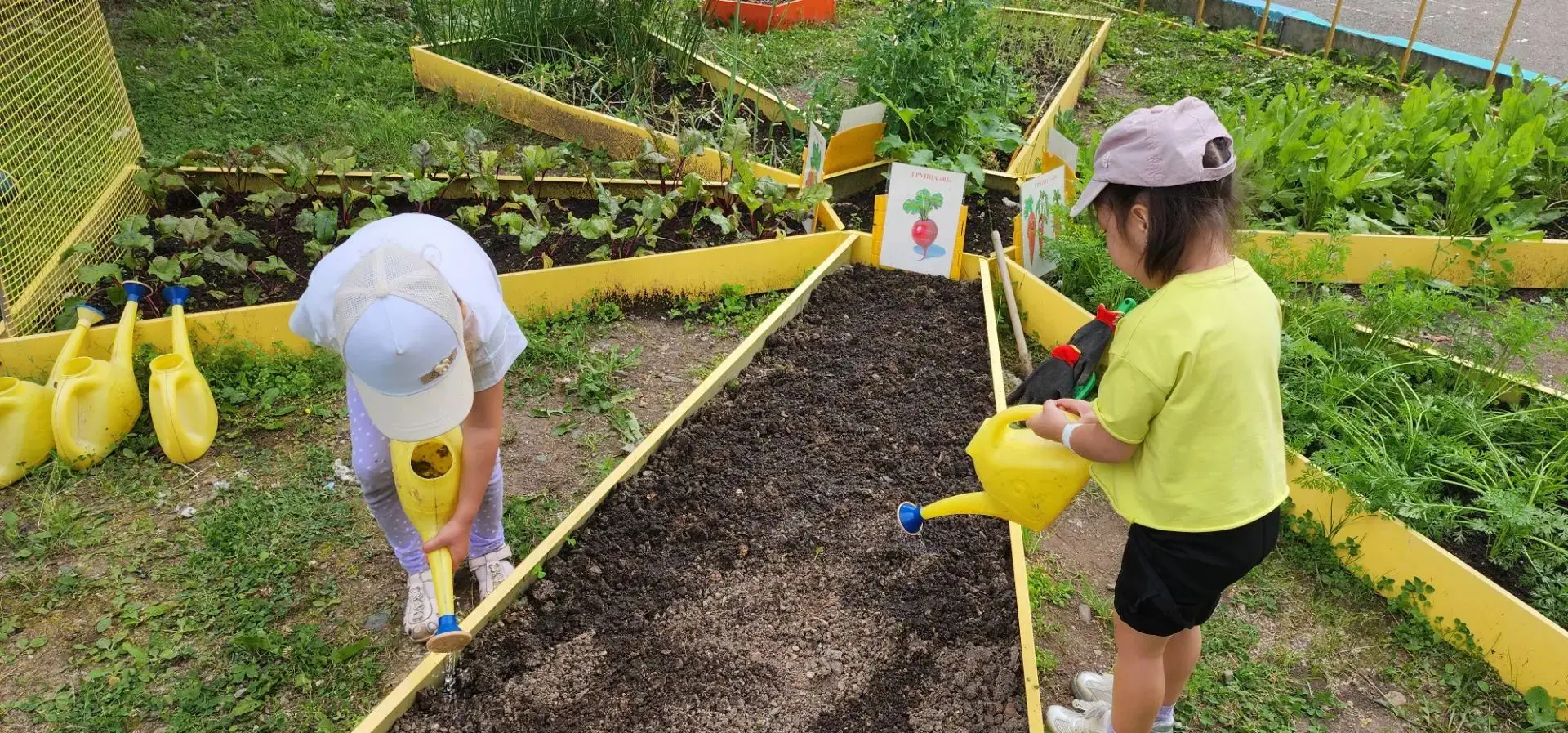 🌱 Маленькие огородники: ждём второй урожай!