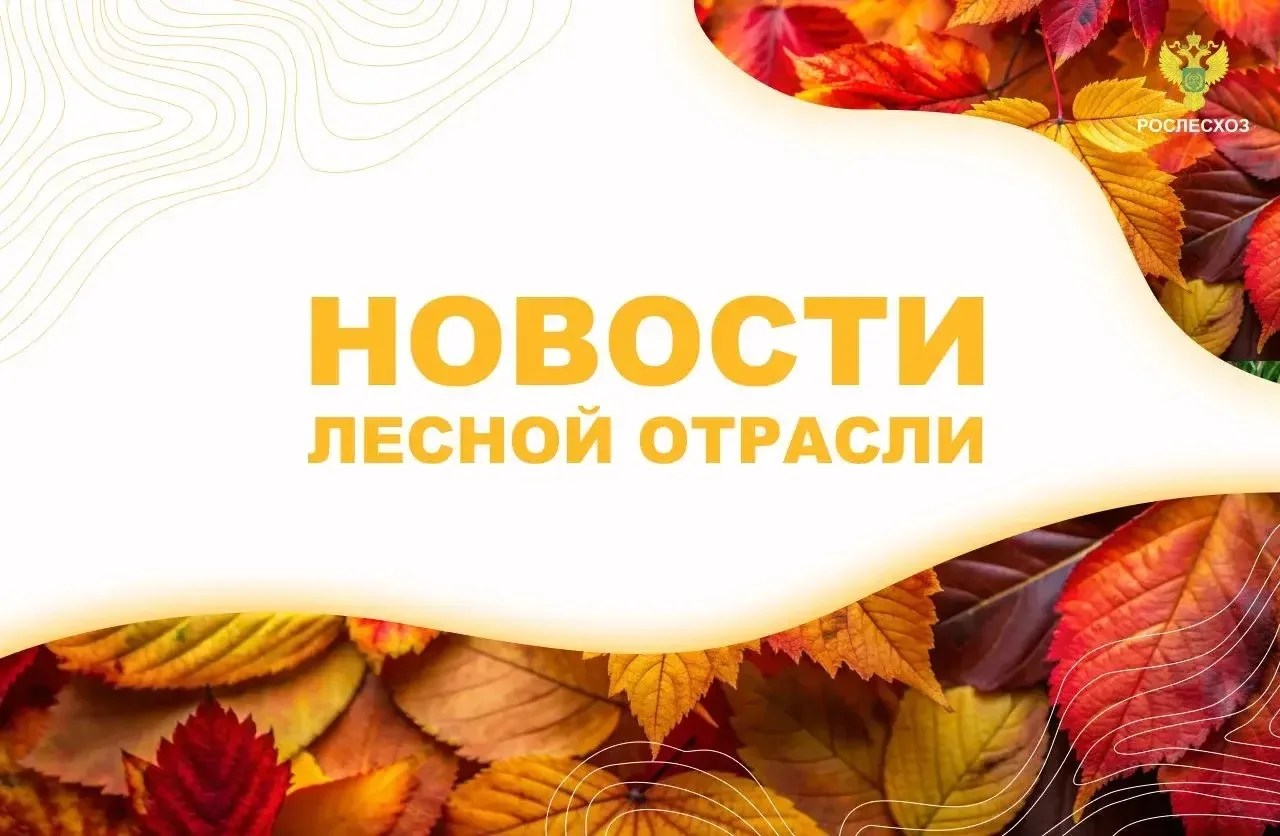 🟢 AK&M: Рослесхоз: в 70 регионах страны обследовали 31 тыс. га участков искусственного...