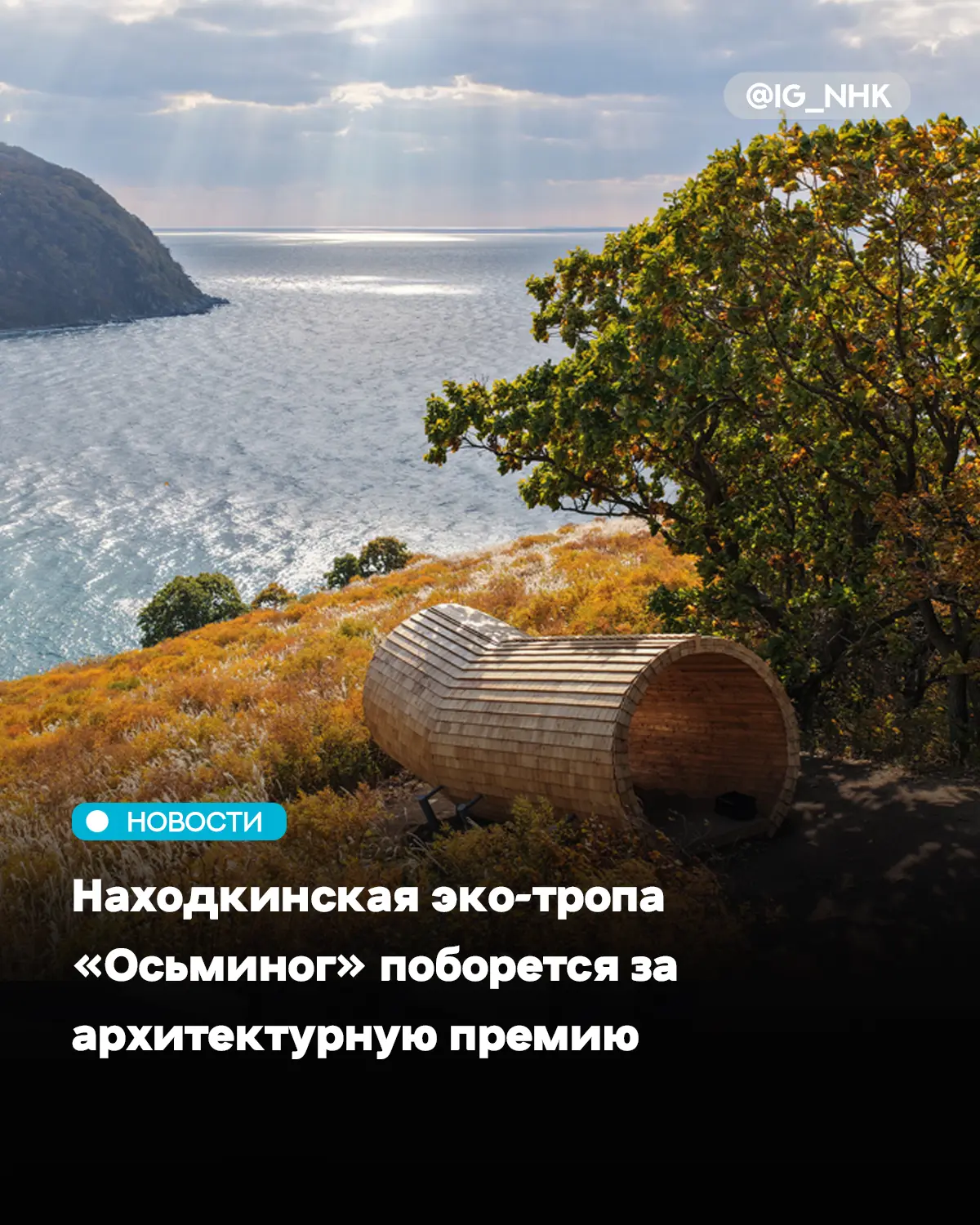 Туристическая «Тропа Осьминога» прошла в шорт-лист архитектурной премии в номинации «Ди...