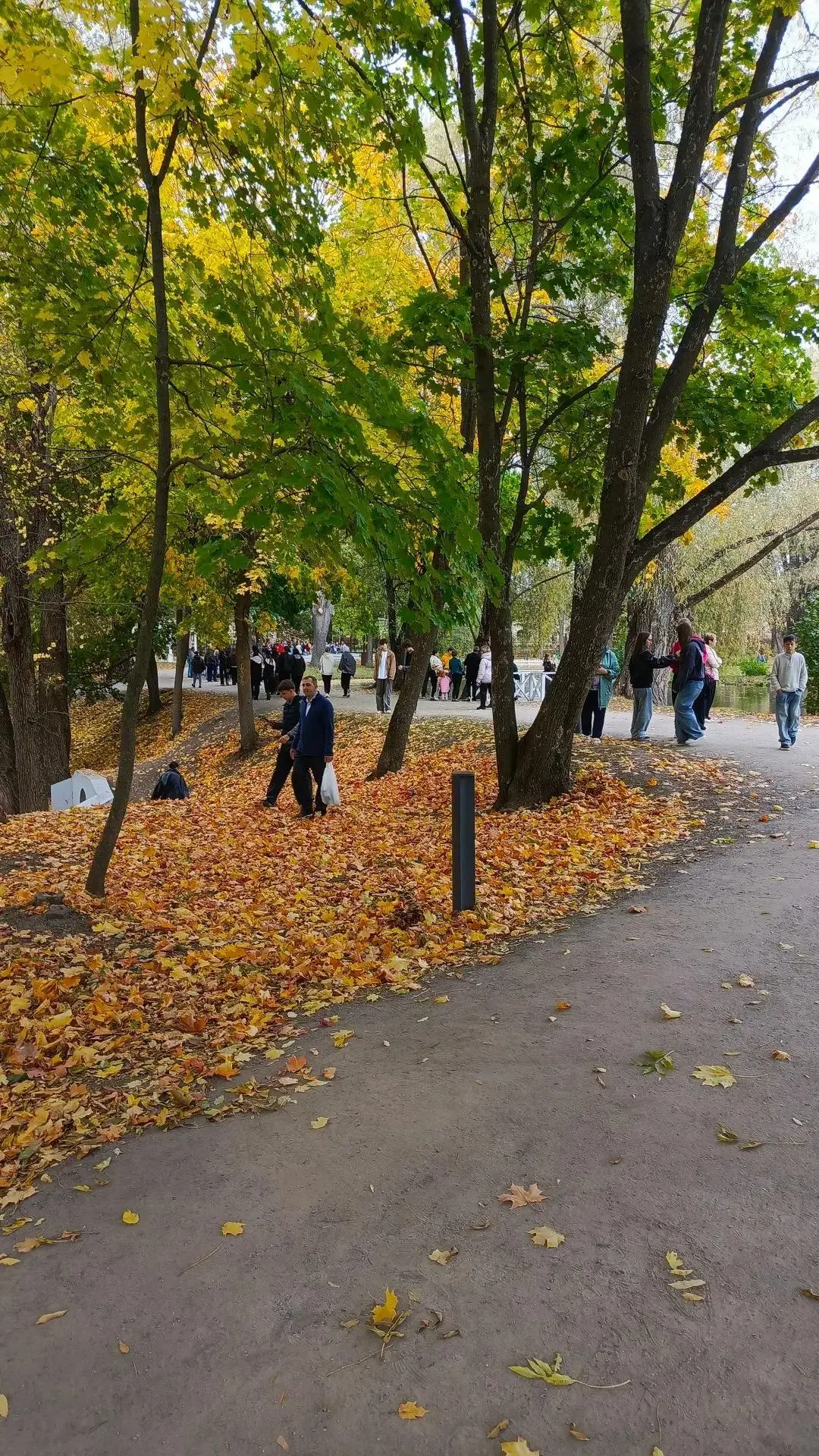 #едем_в_Болдино #музей_заповедник_Болдино
