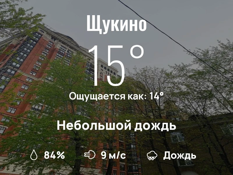 Что с погодой в Щукино?