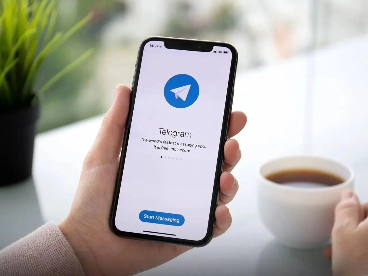 Telegram разрешили пользоваться в России – переписываться в нём, вести каналы и так далее – можно, с