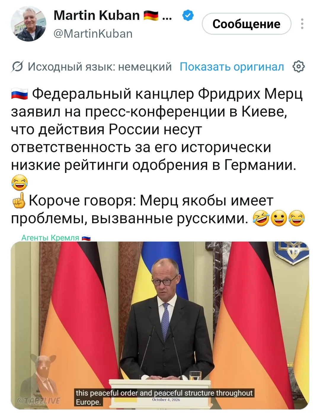 Кошка бросила котят – Путин виноват.
