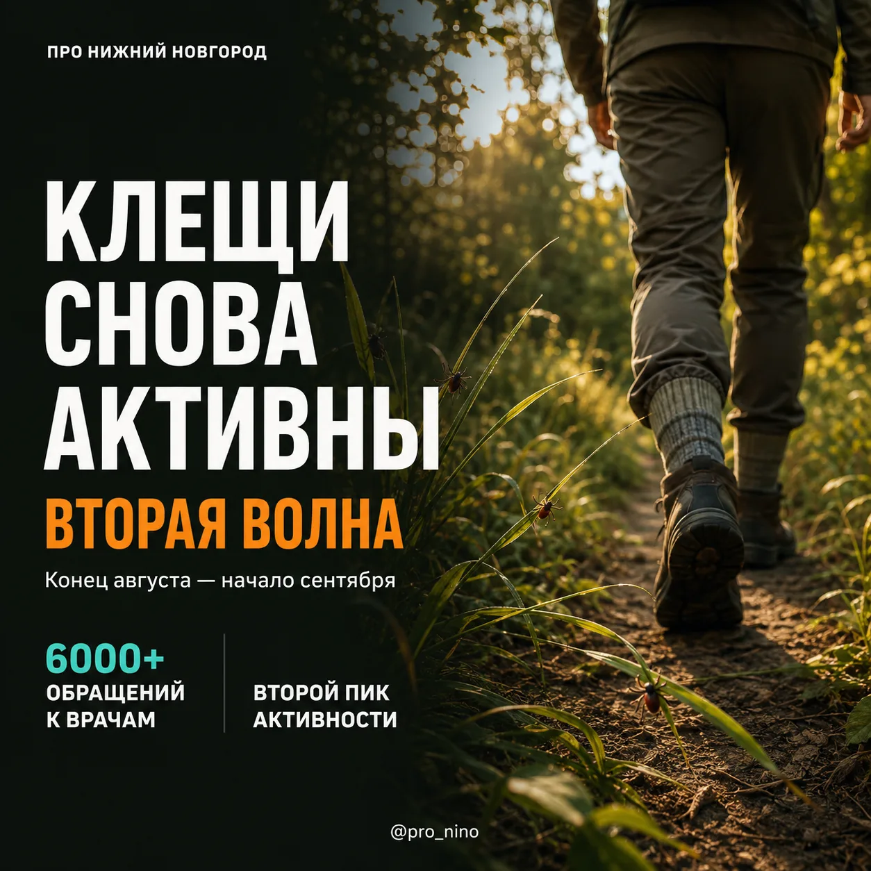 Клещи начнут агрессивнее нападать на нижегородцев в конце августа 🐜

Жителей региона предупредили о