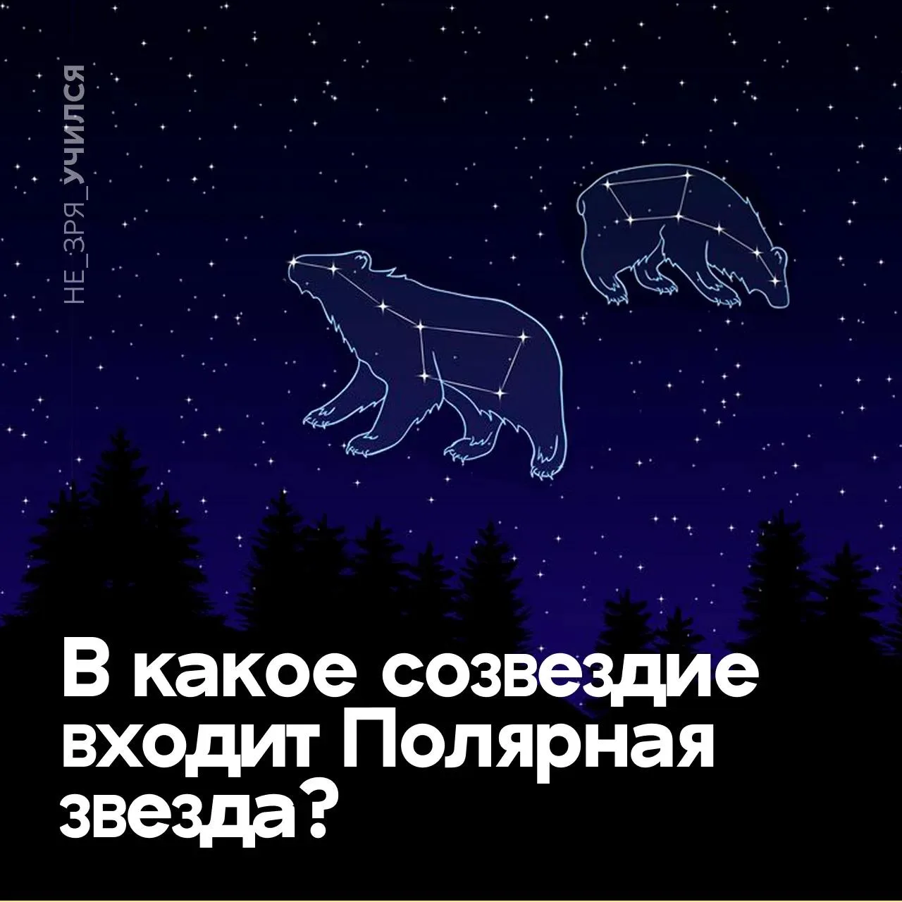 🤔 Каждый школьник изучает, где расположена Полярная звезда — надежный ориентир для путешественников