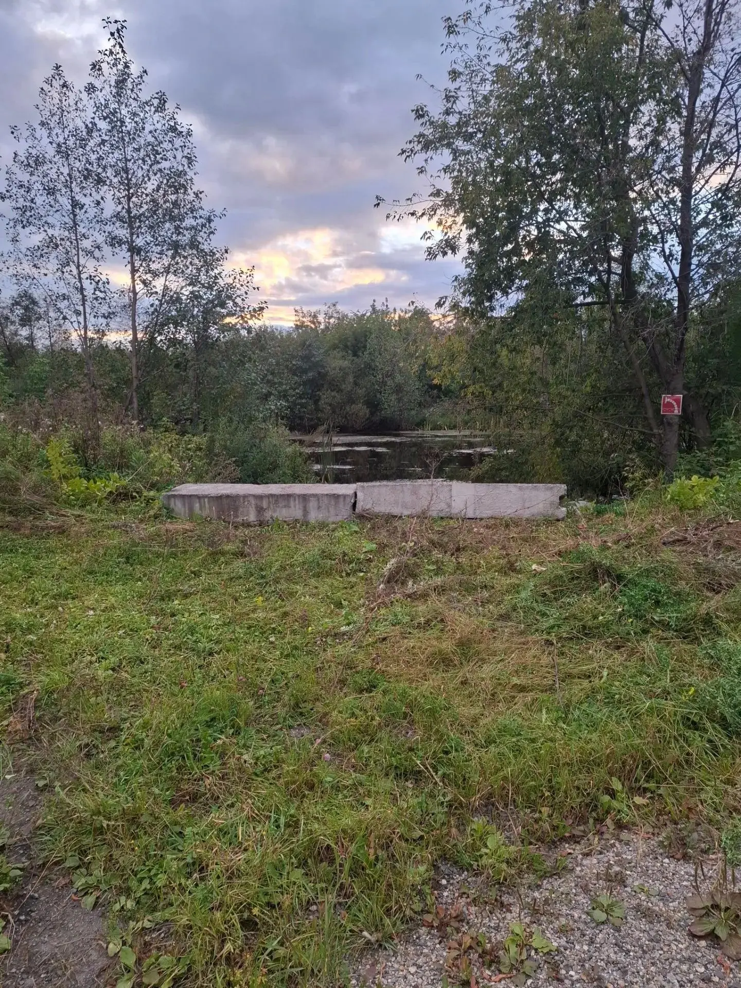 03.09.2026 г.
