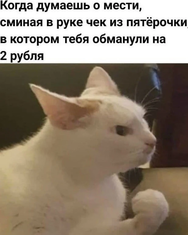 Ночной чат 💭