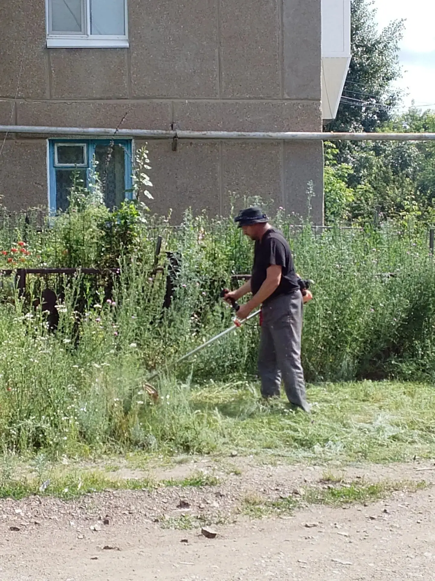 Покос  травы возле мкд 4, 5