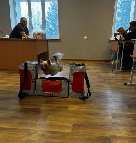 02.02.2026 г. ученики 9Е класса с классным руководителем Шумовой И.В. посетили ОГАПОУ "Белгородский 