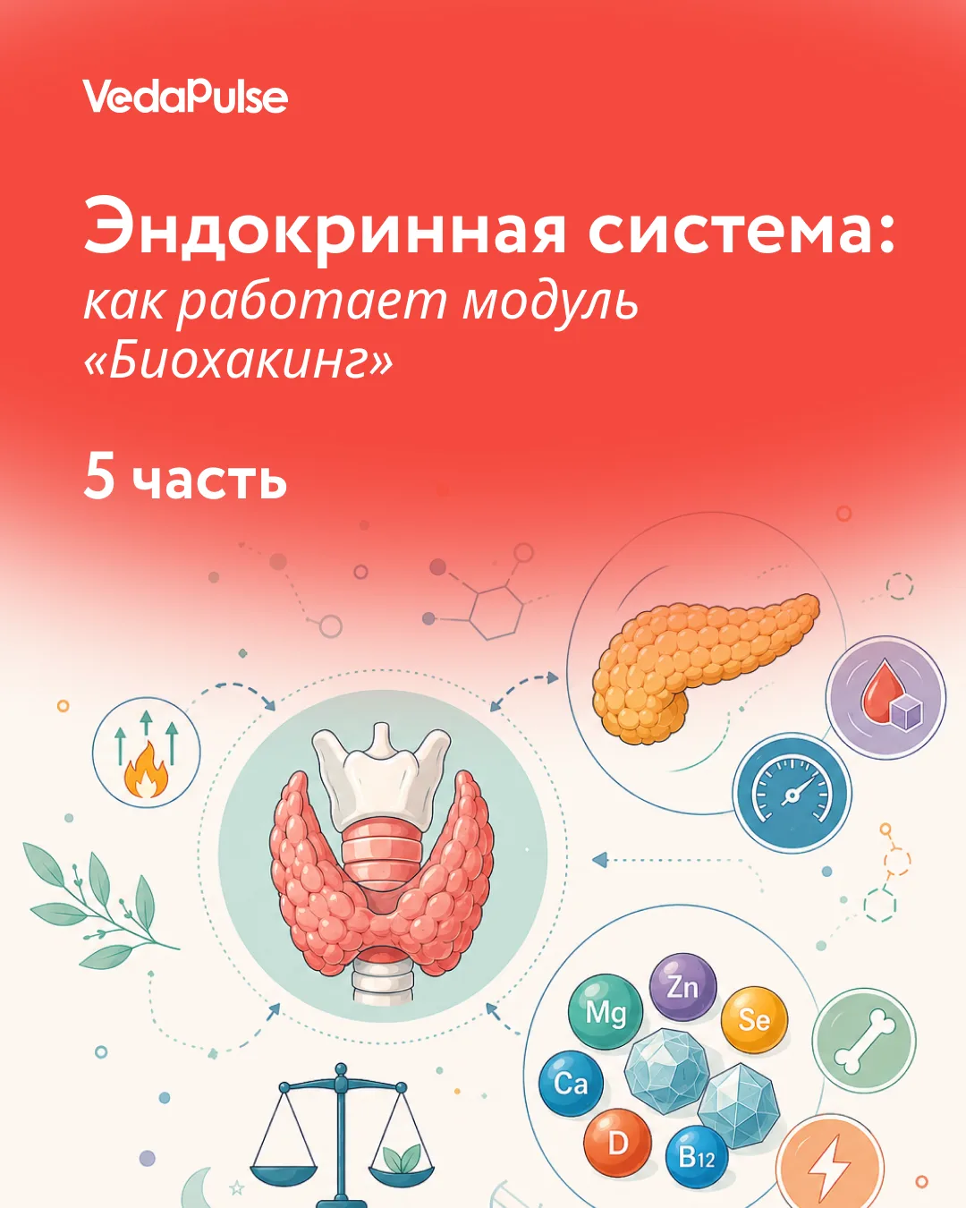 🔍5 часть обзора модуля "Биохакинг" - Эндокринная система