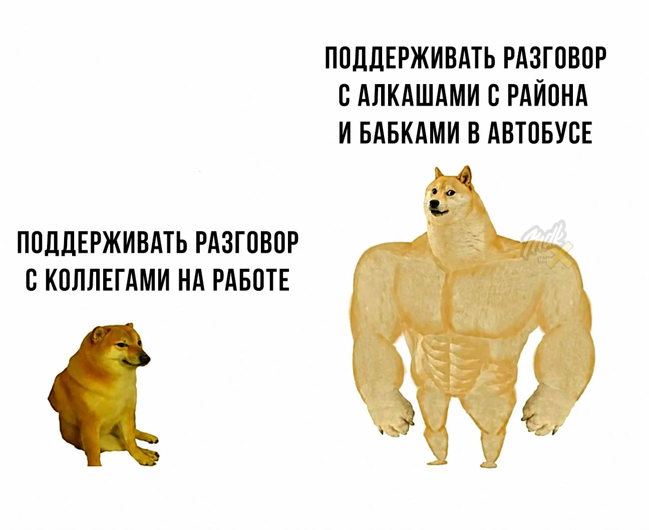 Будьте коммуникабельными!