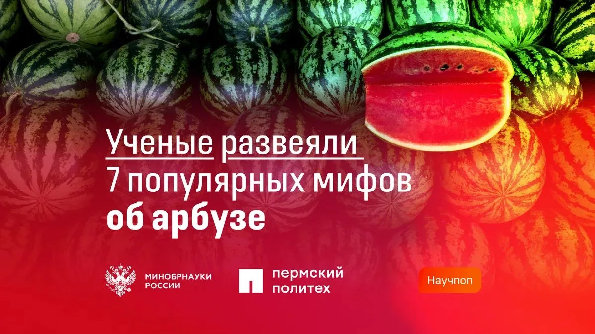 🍉 Арбуз: что скрывает главный летний плод?