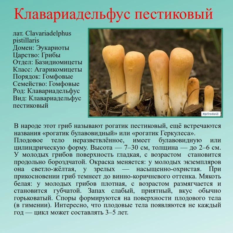 Уважаемые подписчики и посетители сообщества!