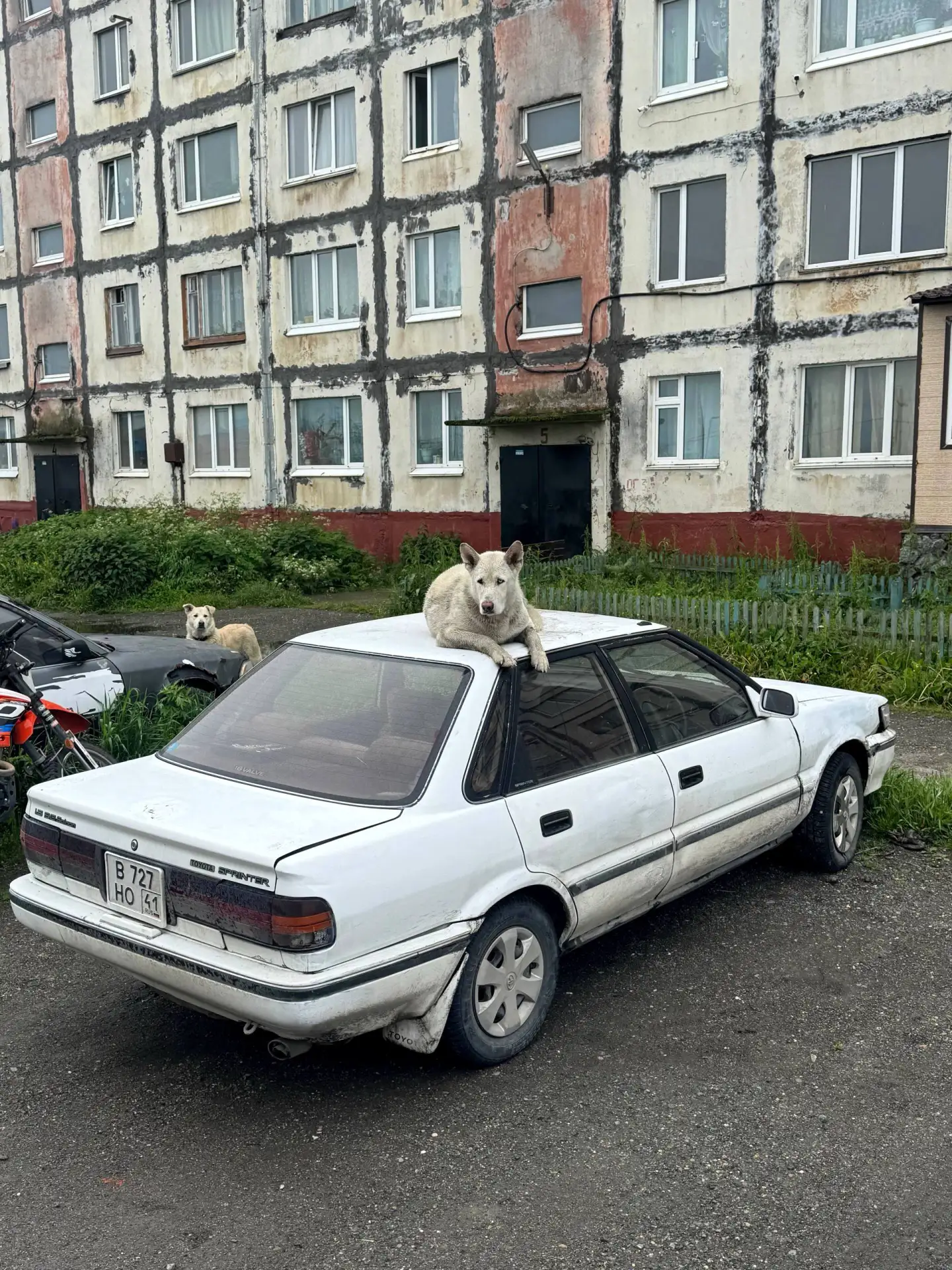 Придумайте описание 😁