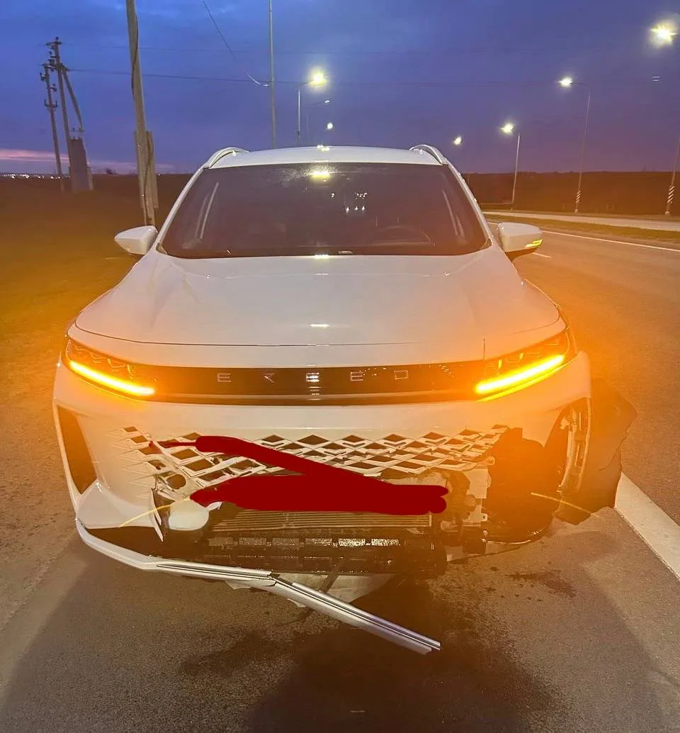 🦌 Один миг — и обычная поездка превращается в ДТП.