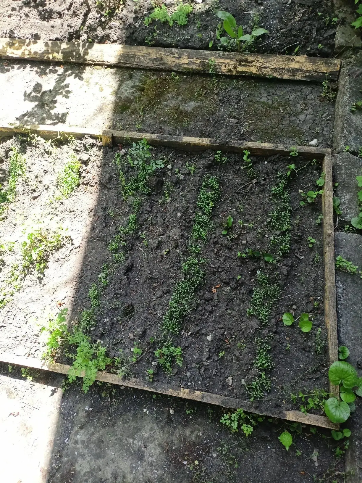 Дорогие друзья и родители! 🌿✨