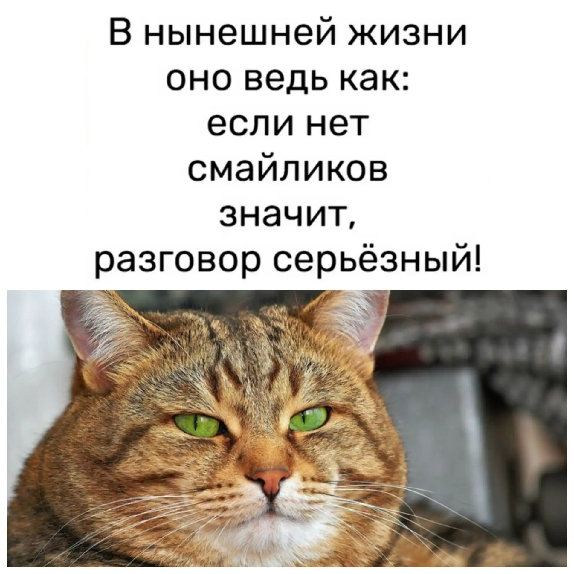 Немного юмора 😉